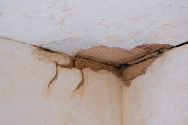 Best Residential water damage restoration  in James Island, SC