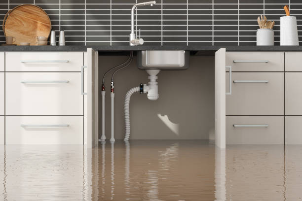 Best 24/7 water damage repair  in James Island, SC