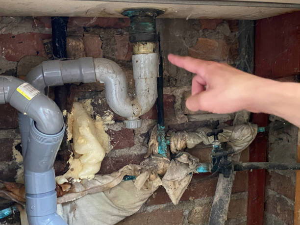Best Water damage cleanup near me  in James Island, SC