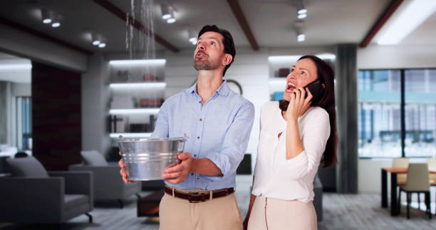 Best Water damage restoration near me  in James Island, SC